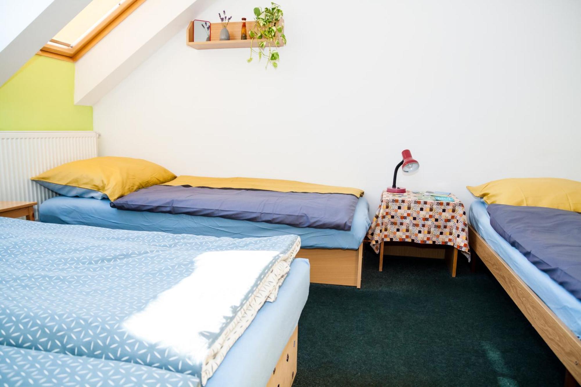 Turisticka Ubytovna Cakle Ústí nad Orlicí Habitación foto